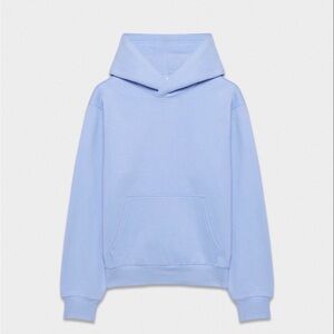 NWOT Aritzia Sweatfleece Hoodie – Light Blue